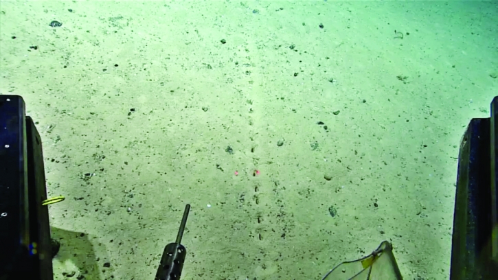 Strange ‘alien’ holes found on ocean floor Strange ‘alien’ holes found on ocean floor