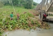 সাপাই নদীর আগাছা পরিষ্কার, স্বাভাবিক জল প্রবাহে ঝুঁকিমুক্ত সেতু