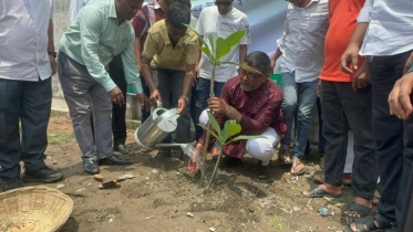 ৫০ হাজার বৃক্ষরোপণ কর্মসূচির উদ্বোধন করলেন মসিক প্রশাসক