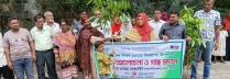 বাগেরহাটে বৃক্ষরোপণ ও বিতরণ অনুষ্ঠিত। বাগেরহাটে বৃক্ষরোপণ ও বিতরণ অনুষ্ঠিত।