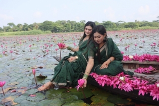 বরিশালে জলের বুকে লাল শাপলার স্বর্গরাজ্য বরিশালে জলের বুকে লাল শাপলার স্বর্গরাজ্য