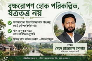 বৃক্ষরোপণ হোক পরিকল্পিত, যত্রতত্র নয় বৃক্ষরোপণ হোক পরিকল্পিত, যত্রতত্র নয়