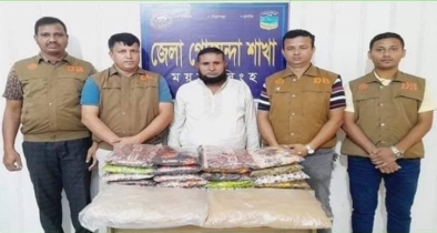 ময়মনসিংহে ডিবির অভিযানে শাড়ির প্রিন্টেড পলির ভিতর  থেকে গাজা সহ গ্রেফতার ১