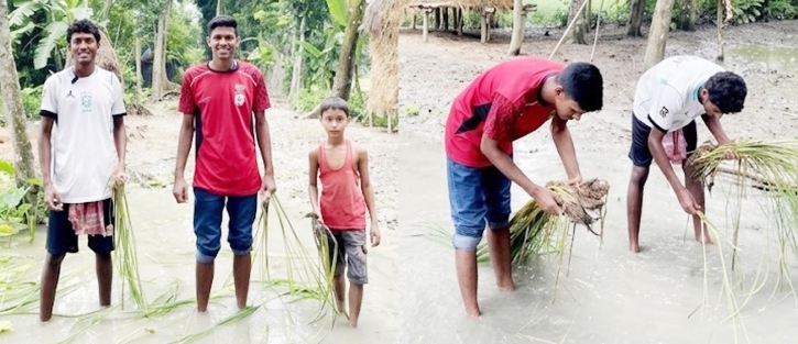 দুটি সড়কের বেহাল দশা, ধানের চারা রোপণ করে প্রতিবাদ