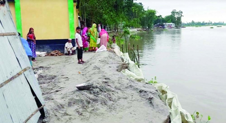 Erosion of the river Teesta rendered 250 homestead in Gangachara Upazila Erosion of the river Teesta rendered 250 homestead in Gangachara Upazila