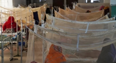 204 dengue patients hospitalized in last 24hrs