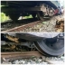 Engine Derails Midway; Train Service on Nilphamari Route Resumes After 5.5 Hours