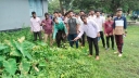As part of Central Program: Two-Day Dengue Prevention and Cleanliness Campaign Begins at Nilphamari 