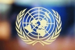 UN to cut humanitarian  operations office staff by 20%