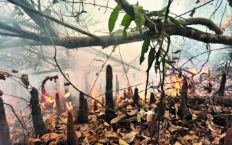 How far has the Sundarban fire spread?