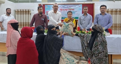 Noakhali Sadar Agricultural Department distributed Aus paddy  seeds fertilizer among 6500 farmers