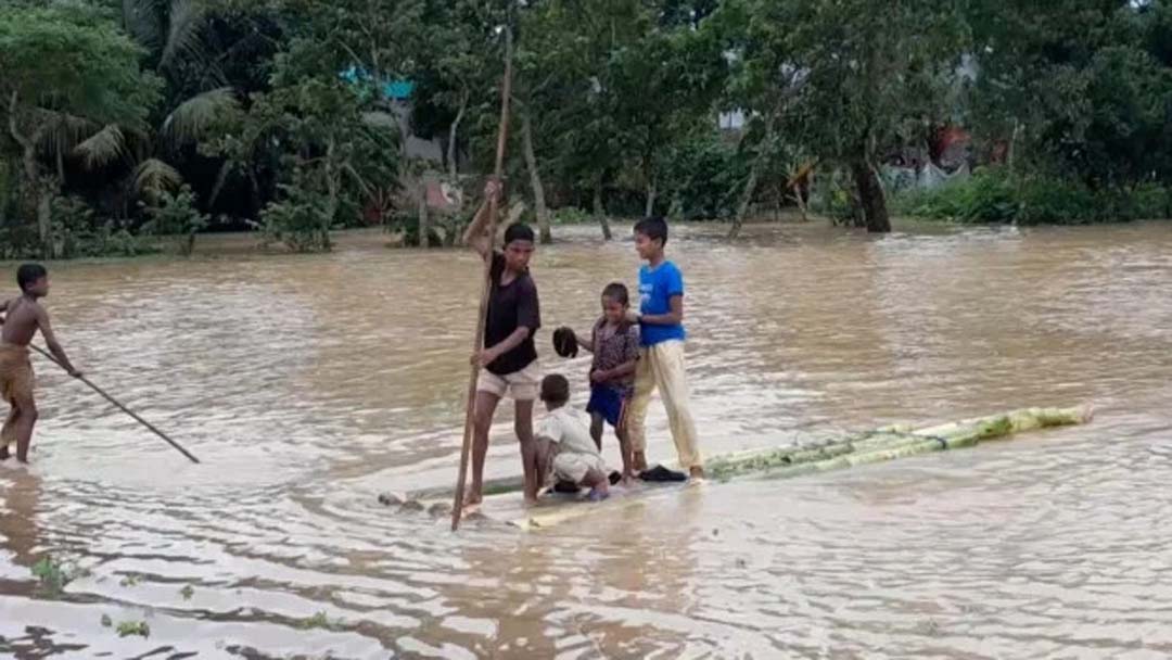 Crops on over 22,000 hectares of land lost: Netrakona floods
