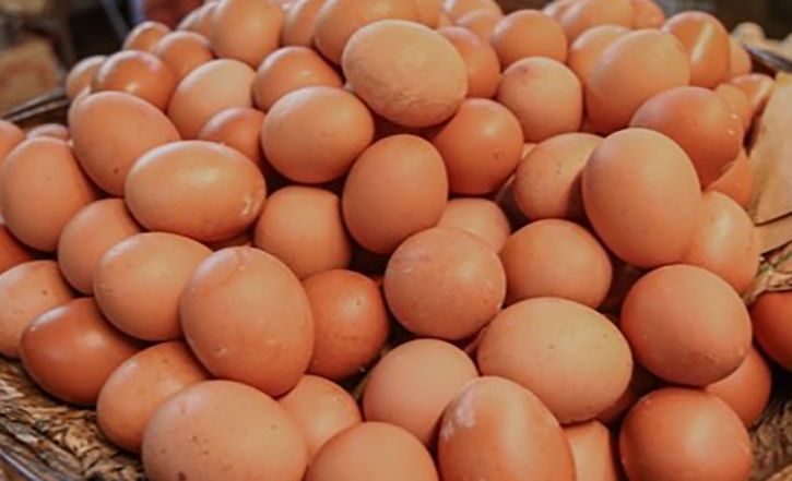 Govt permits 40.5m eggs import to stabilise prices Govt permits 40.5m eggs import to stabilise prices